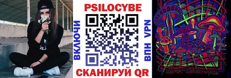 Галлюциногенные грибы Cubensis Стародуб