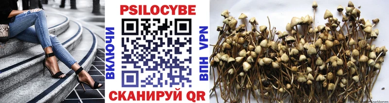 где продают наркотики  Стародуб  Галлюциногенные грибы Magic Shrooms 